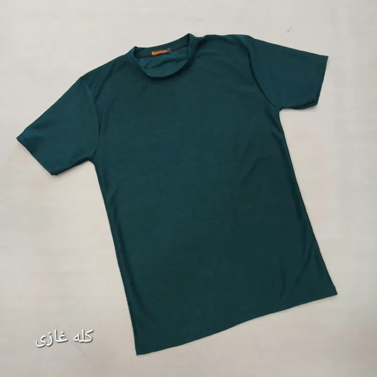 تیشرت بیسکویتی مردانه نخی ساده خنک تابستانی سایز لارج تا سه ایکس لارج